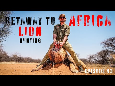 Episode 43 | Lion Hunt