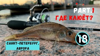 Жор крупного ЕРША на микроджиг?! Бонусный окунь в центре города!