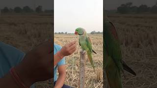 https://youtube.com/shorts/sJqjzhdv07Y?si=EkZ-4Qq8pGf2k1cd