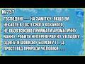 БІЛЯ ЛІЖКА СТОЇТЬ ГОЛИЙ ГРУЗИН У КЕПЦІ І РАДІСНО Збірка Найкращих Анекдотів по Українськи ЖАРТИ