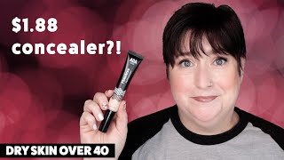 AOA STUDIO FLAWLESS LIQUID CONCEALER | Dry Skin Review & Wear Test