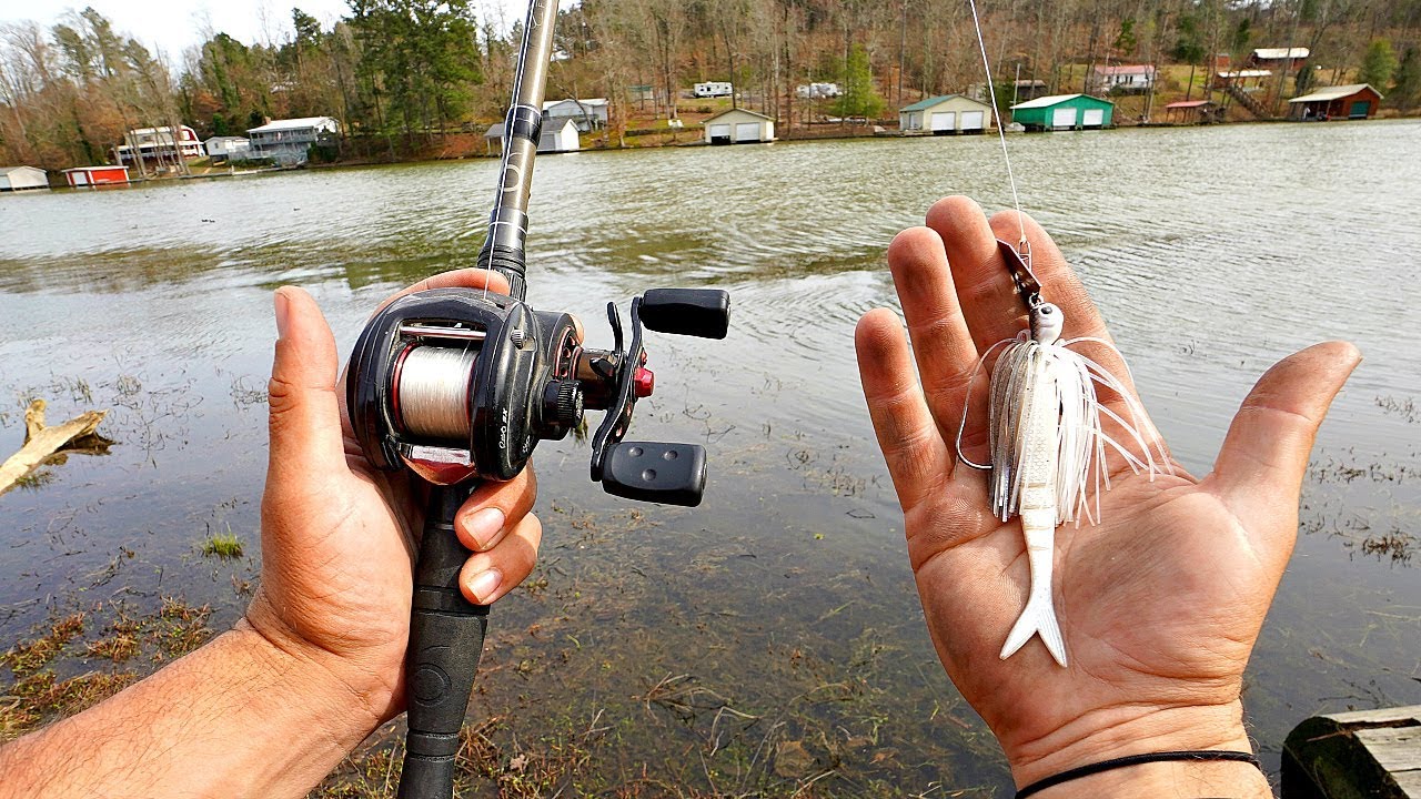 Pre-Spawn Bass HAMMER Chatterbaits in the Grass!! 