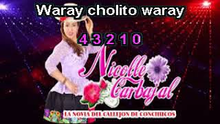 Video thumbnail of "AMOR DE MALVA karaoke CHIMAYCHI NICOLLE CARBAJAL"