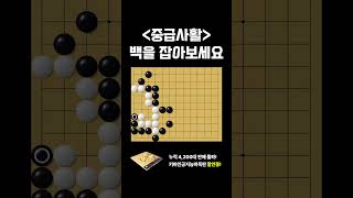 (중급사활) 백을 잡아보세요. 고수는 3초만에 푸는 문제