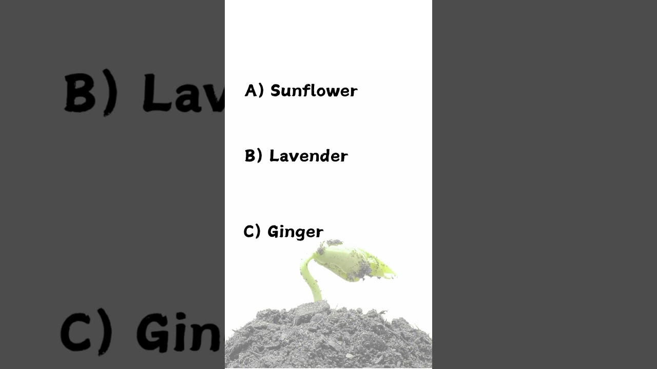 Garden Trivia Challenge! 🌿🌸 