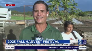 Fall Harvest Festival at Waimanalo Counrty Farms begins