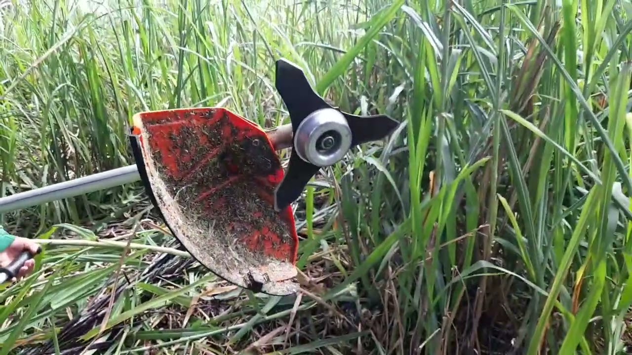 Roçadeira lâmina  3 pontas