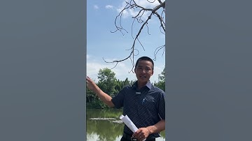 03 việc cần làm trước khi đặt cọc mua đất tránh bị sai lầm #batdongsannhabe #đất #realestate #bán