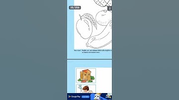 ভিডিও 85🍎# আমার বই Amar boi# প্রথম শ্রেণি Class 1#পৃষ্ঠা ১৭ page 17#ফল রং করি  colour  pictures#bbcp