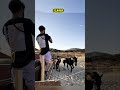 Perfect Timing Makes the Shot 🐎📸 #shorts #PhotoStory #CreativeMind #ViralShorts