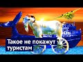 Бедность и роскошь: две стороны одного Дубая