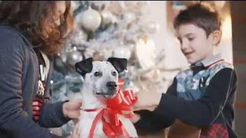 AMICI DA ADOTTARE / COLONNA SONORA NIDA - Stefania...