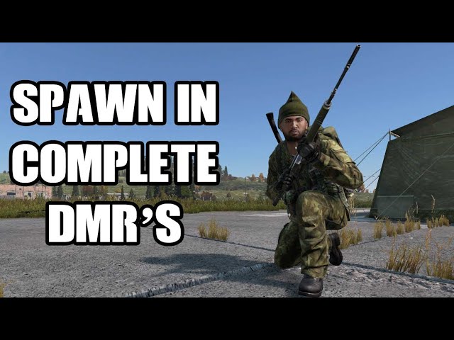 M14/DMR : r/dayz