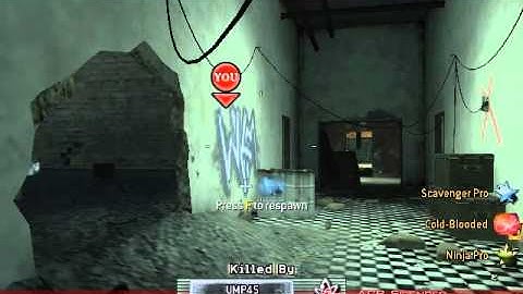 RepZ Hacker Report 22.5