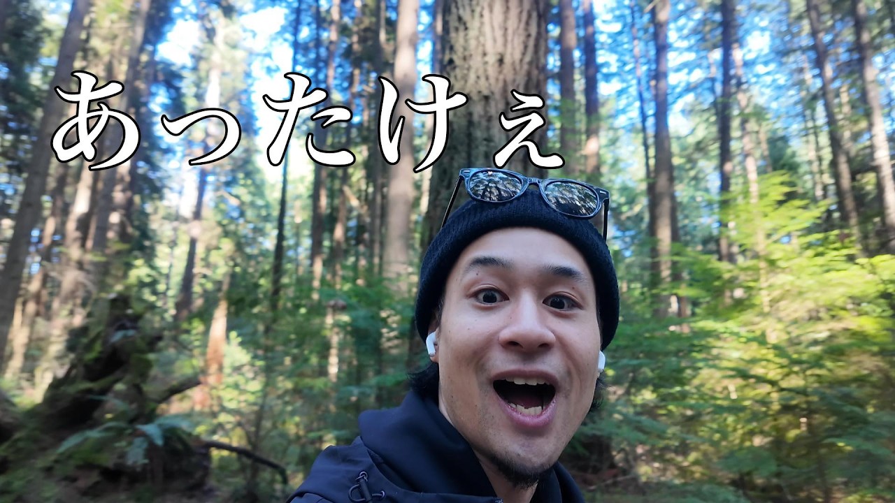 紙食って春を感じてみた