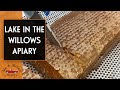 Beekeeping | Lake in The Willows Apiary: Farm Tour (2020)
