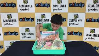 Maharth visani national symbol project 