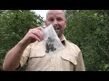 Beginning of video