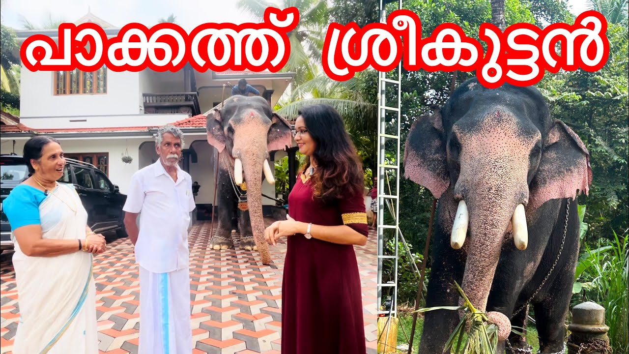 യുവരാജൻ പാക്കത്ത് ശ്രീകുട്ടൻ|ഞങ്ങളുടെ ഇളയമകൻ|sarisway