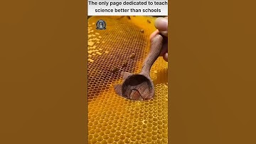 Hexagonal Perfection Explained