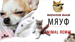 SQWOZ BAB - МЯУФ (ANIMAL REMIX) / 😸Голосами Животных🐺