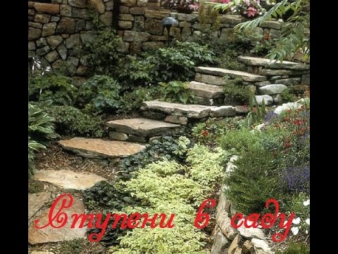 100 000 изображений по запросу Лестница в сад доступны в рамках роялти-фри лицензии