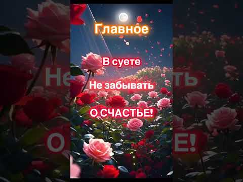 Не забывать о Счастье!💫🥰❤️ #shortvideo #любовь #счастье #мысливслух #открытки