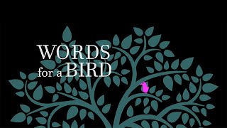 Words for a bird screenshot 3