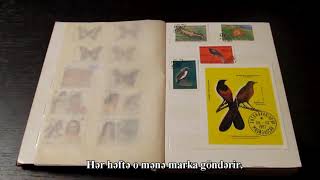 En 5-5-2 İngilis Dili 5-Ci Sinif Unit 5 Collecting Stamps