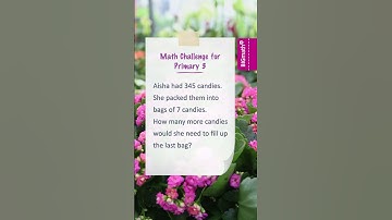 Grade 3 Math Quiz 107: Solve the Primary 3 Word Problem