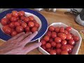 Storing My Produce: tomatoes - freezing (and a chat about bottling)