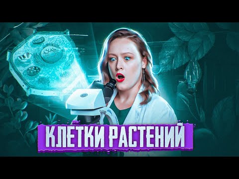 КЛЕТКА РАСТЕНИЯ | Клеточная стенка, вакуоль и пластиды | ЕГЭ-2024 по биологии