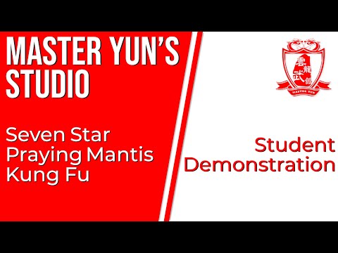 Master Wang Qing Zhai Inherit Festival | Seven Star Praying Mantis Kung Fu Demonstration