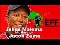 Malema hits hard on Jacob Zuma