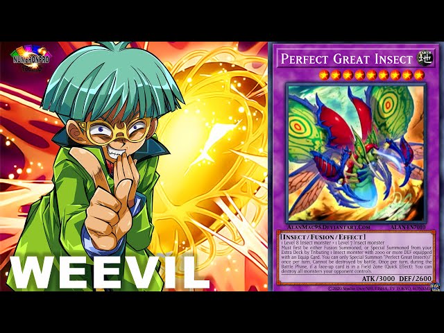 yugioh weevil deck list Updated Starter (June 2025) by Cardsock Weevil Deck New Support Perfect