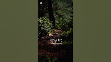 #اكسبلور #القرآن_الكريم #وانشقت السماء فهي يومئذ واهية#القارئ_حاتم_المالكي#راحة_نفسية