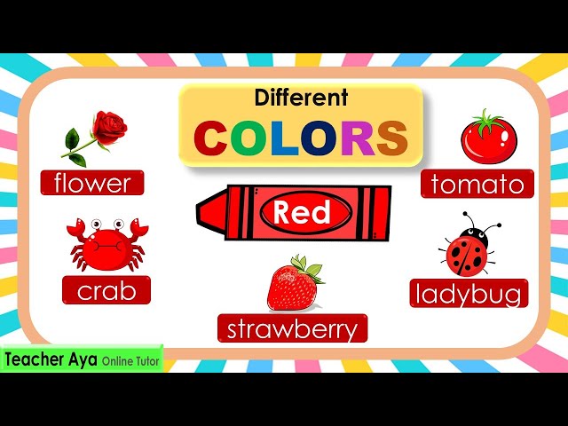 Learn the different colors | Video tutorial for kids class=