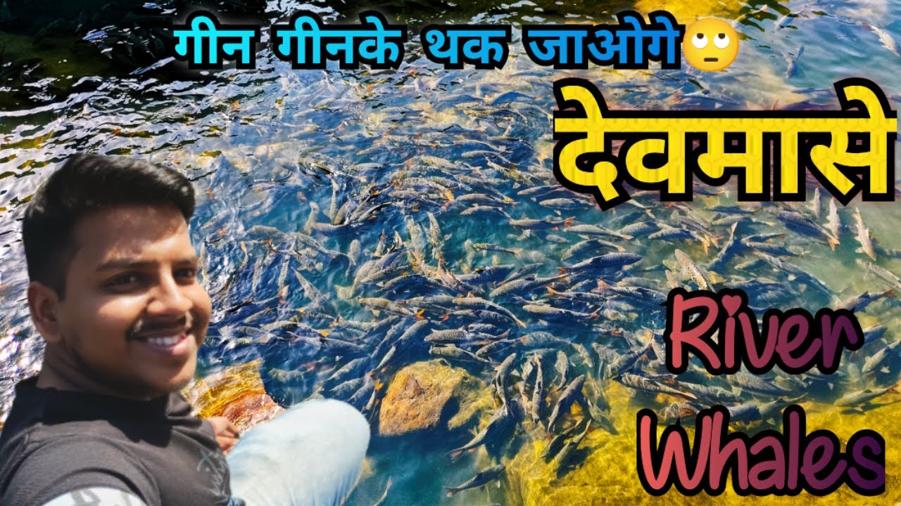 रहस्यमयी देवमासे चमत्कारी तिलसेश्वर महादेव मंदिर | Tilsa Shiv Mandir | Tilsa God Fish | Wada-Tilase