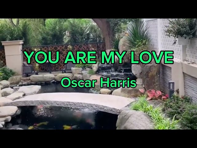 YOU ARE MY LOVE by Oscar Harris (lyric & terjemah) class=