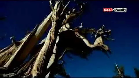 John Stanford - TimeScapes Soundtrack - Crystal Skies