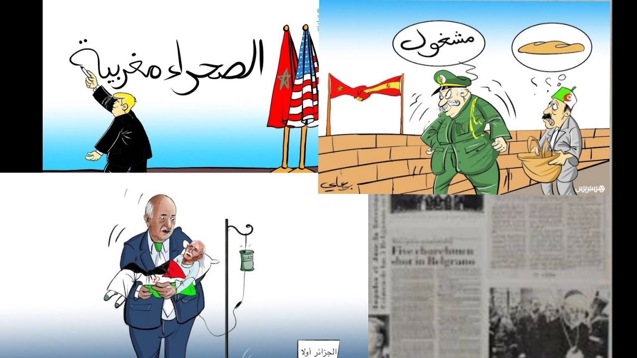 #فضائح#بالجملة#في شان قريحه الجزائر.