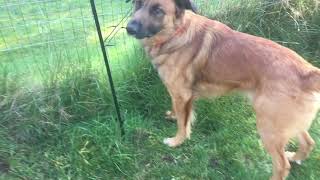 Witchcraft Garden - Magickal Celtic Wiccan Garden Daily!  Create A Space For The Goddess And The God screenshot 5