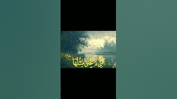 سورة الفجر المنشاوي| #القرآن_الكريم #قرآن #quran #المصحف #اكسبلور