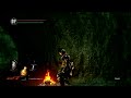 Alongamento DS1