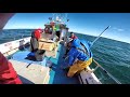 Charter Boat Sea Fishing Weymouth - Fish On 2 - Skipper Josh Simmonds