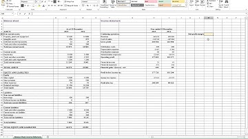 Calculating Net Profit Margin in Excel