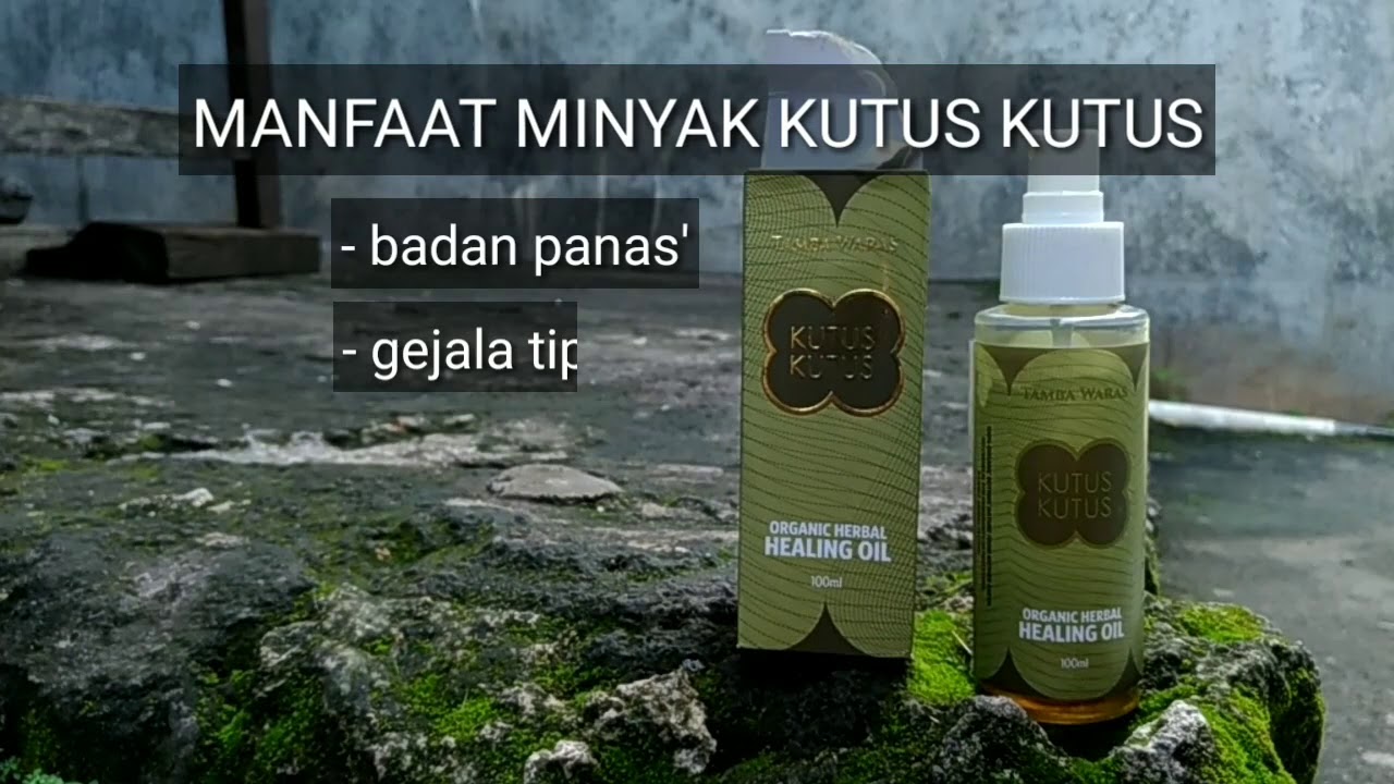Manfaat minyak kutus kutus “mengobati 50 jenis penyakit“