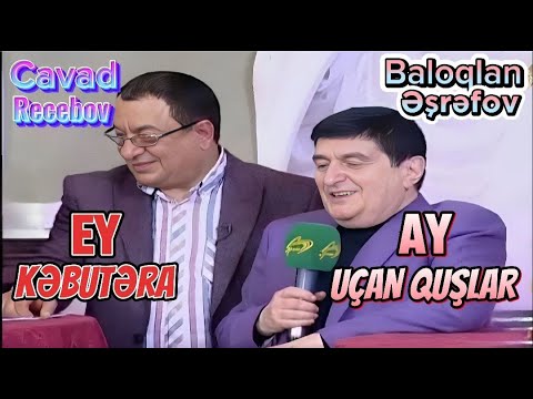 Cavad Recebov vs Baloqlan Esrefov || Ay Ucan Quslar - Ey Kebutera || canli ifa - 2019 -