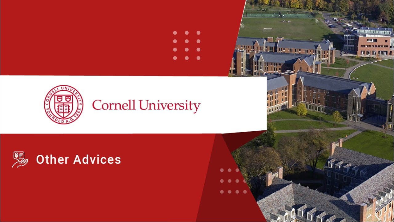 CORNELL UNIVERSITY Q&A Campus Life, Academics & Jobs YouTube