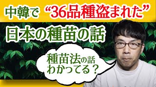 種苗法の話、本当にわかってしてる？中韓で36品種盗まれた日本の種苗の話。 │上念司チャンネルニュースの虎側